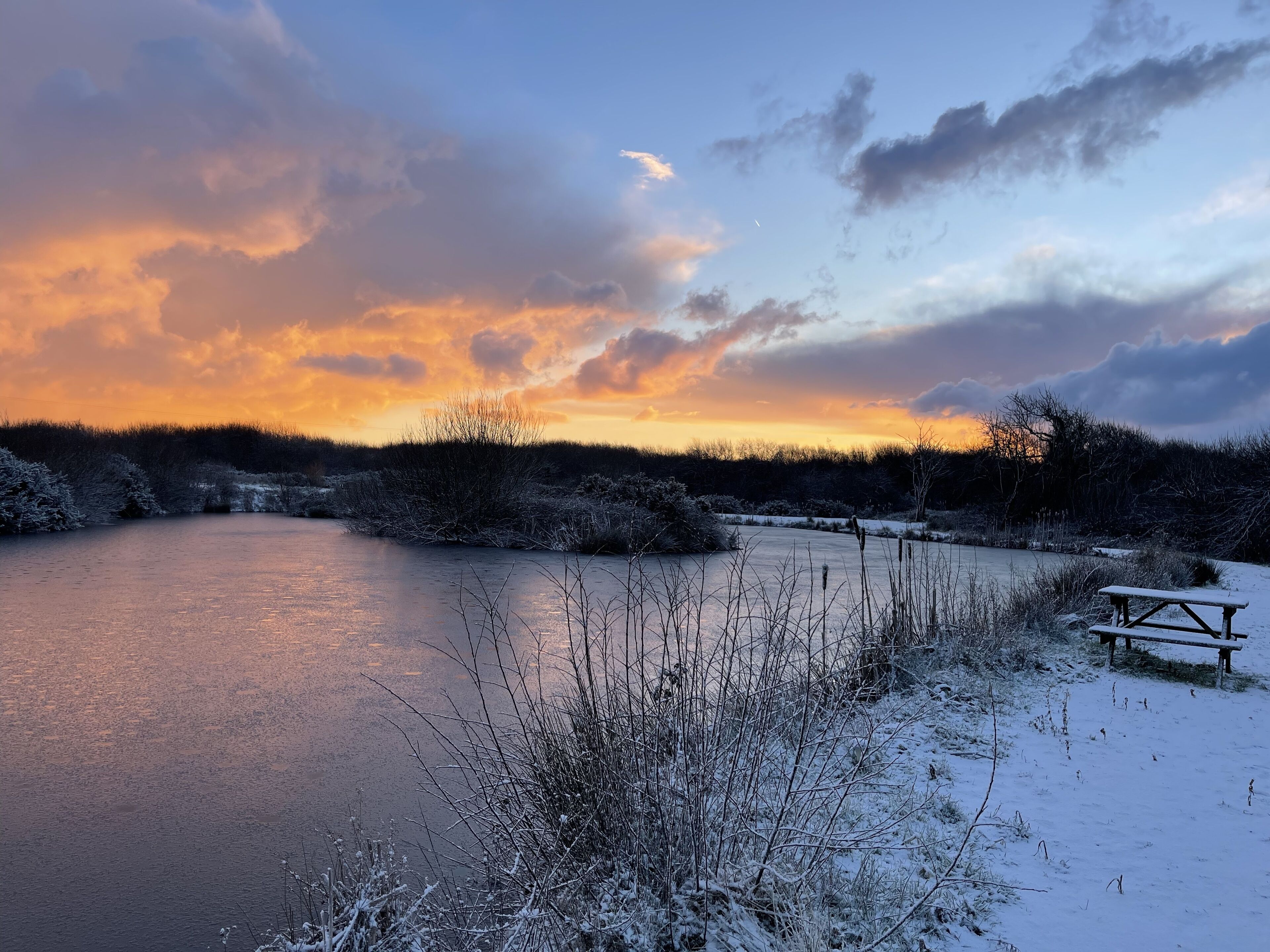 A frozen lake with a wooden bench and sparse vegetation around it.