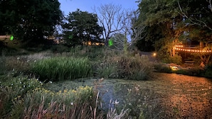 Un espace extérieur aménagé pour la nuit, avec un étang, de la verdure et des guirlandes lumineuses.
