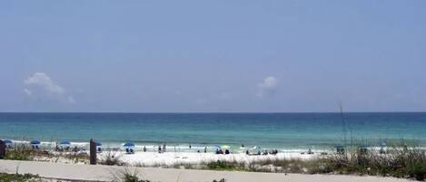 بالقرب من الشاطئ