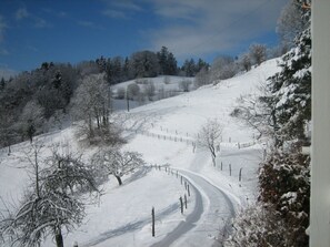 Deportes de invierno y ski