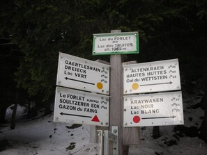 Detalle exterior