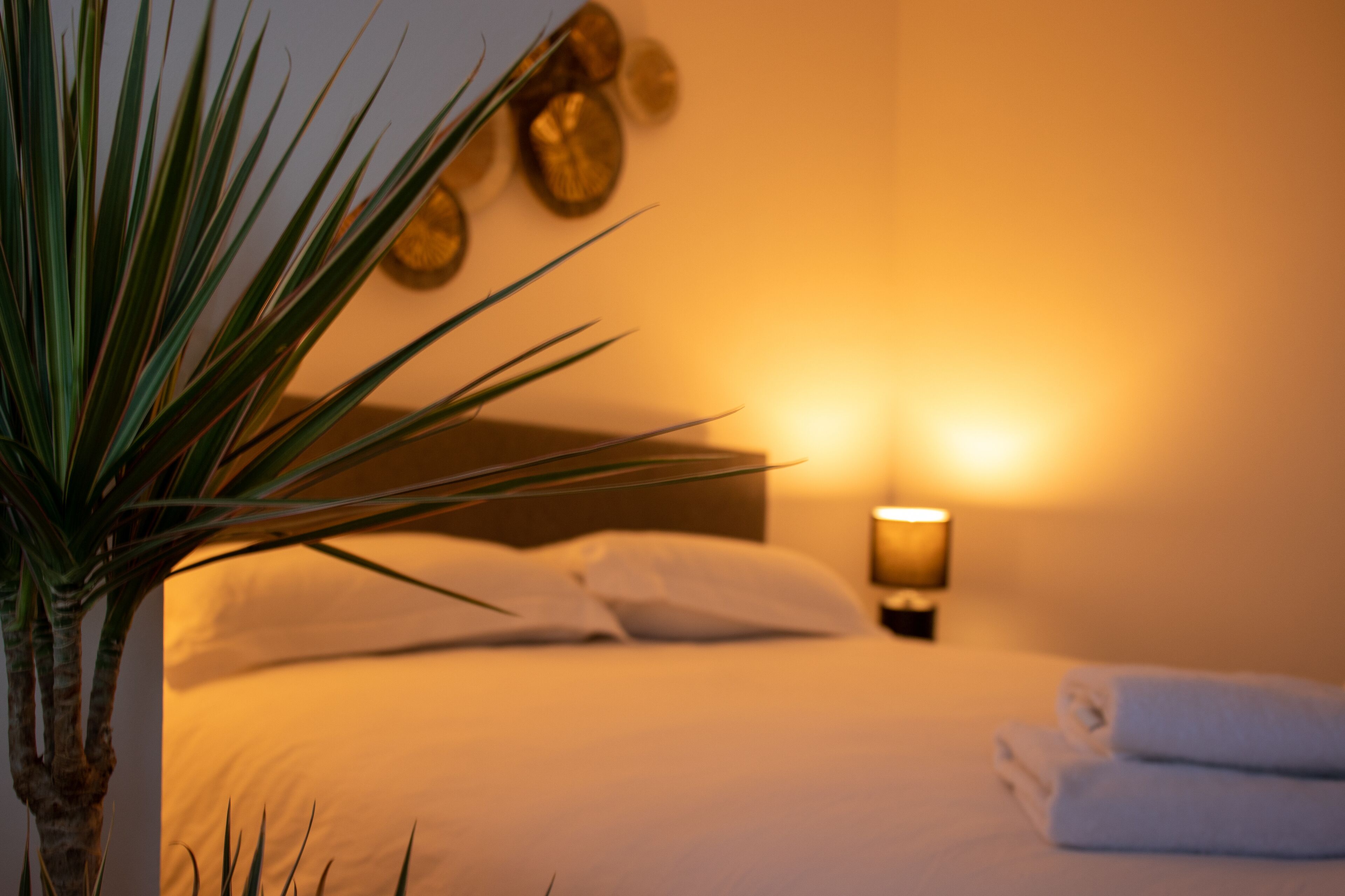 Căn hộ trung tâm thành phố, phòng tắm riêng, quang cảnh cảng | 1 phòng ngủ 