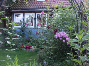 Imagen sin descripción, 3 de 19, botón