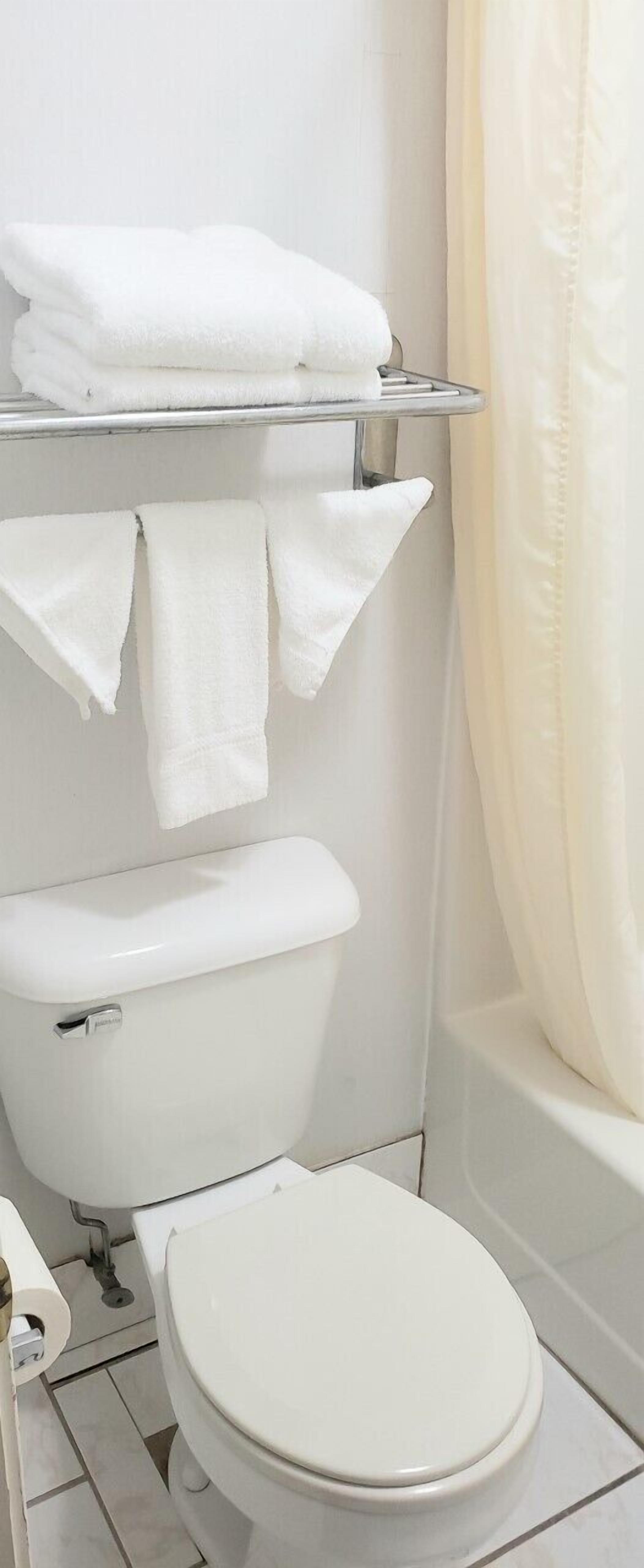 A bathroom with a toilet, a shelf with folded towels, and a shower curtain.