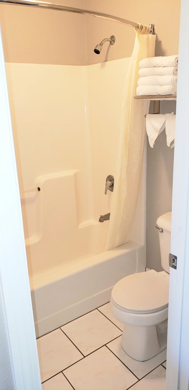 A bathroom with a bathtub, toilet, and a shower curtain.