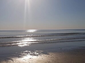 Una playa con el agua brillando por la luz del sol.