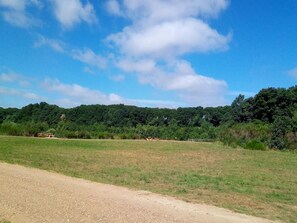 House | Miscellaneous