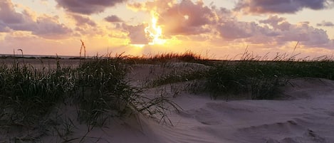 House | Beach | Beach nearby