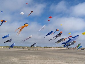 A beach with numerous kites flying in the sky. - 4 Person Holiday Home in Fano (Fano)