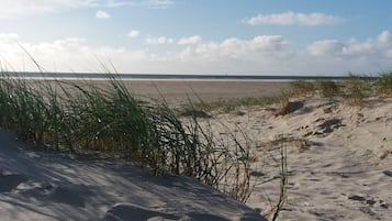 A beach with sand dunes and sparse vegetation.