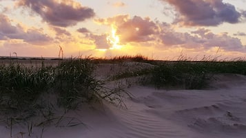 Paisaje de playa con dunas de arena y hierba al atardecer.