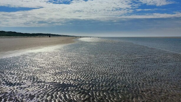 Une plage dotée d’un large rivage sablonneux et de vagues douces.