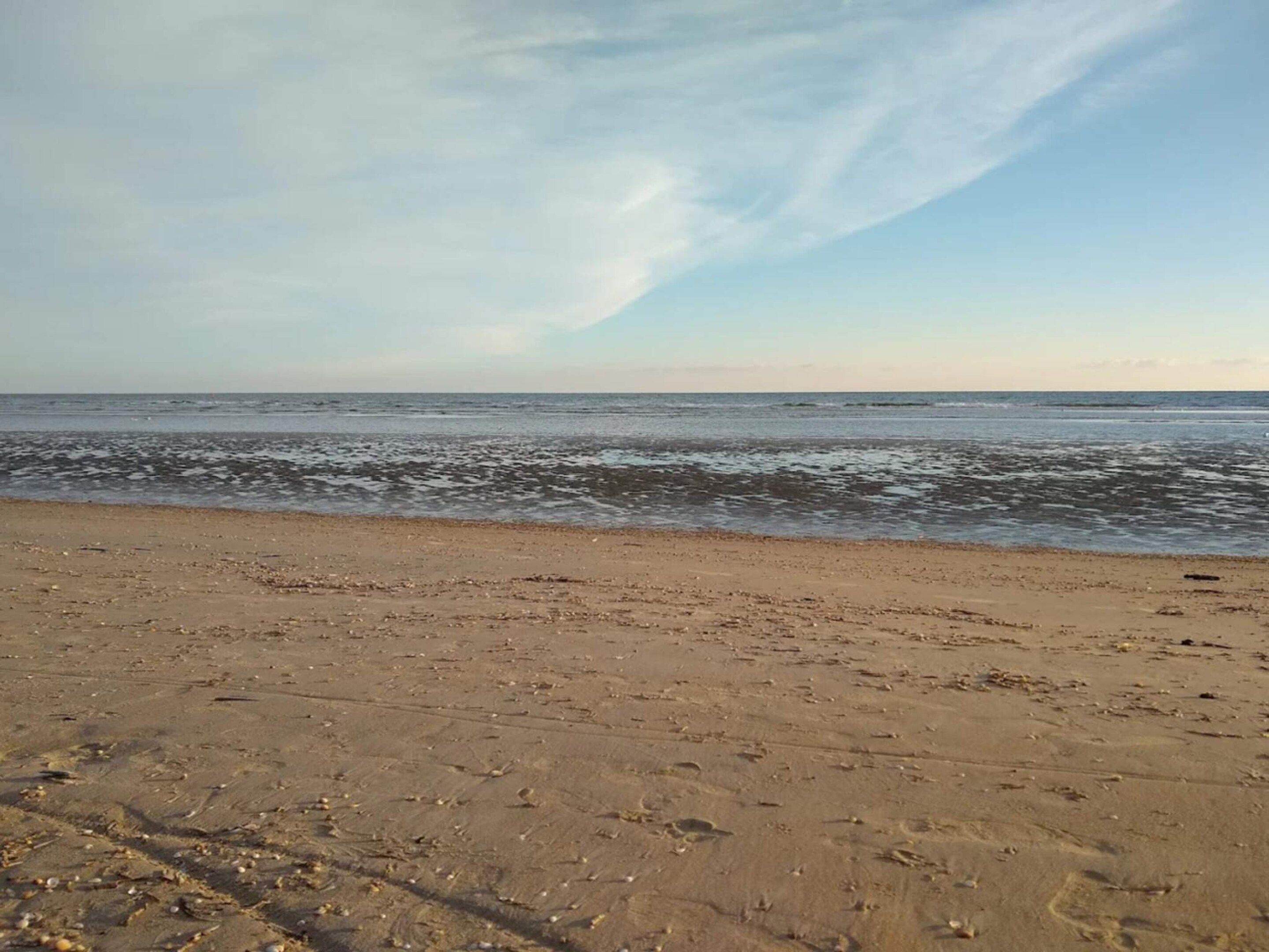 A beach with a sandy shore and the ocean in the background.