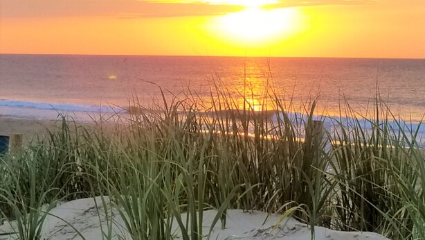 A beach with tall grass in the foreground and a sunset over the ocean. - Sandy Jack's on 80th, 1 bedroom.  Steps to the beach and pool! Stocked! (Ocean City)
