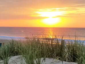 A beach with tall grass in the foreground and a sunset over the ocean. - Sandy Jack's on 80th, 1 bedroom. Steps to the beach and pool! Stocked! (Ocean City)
