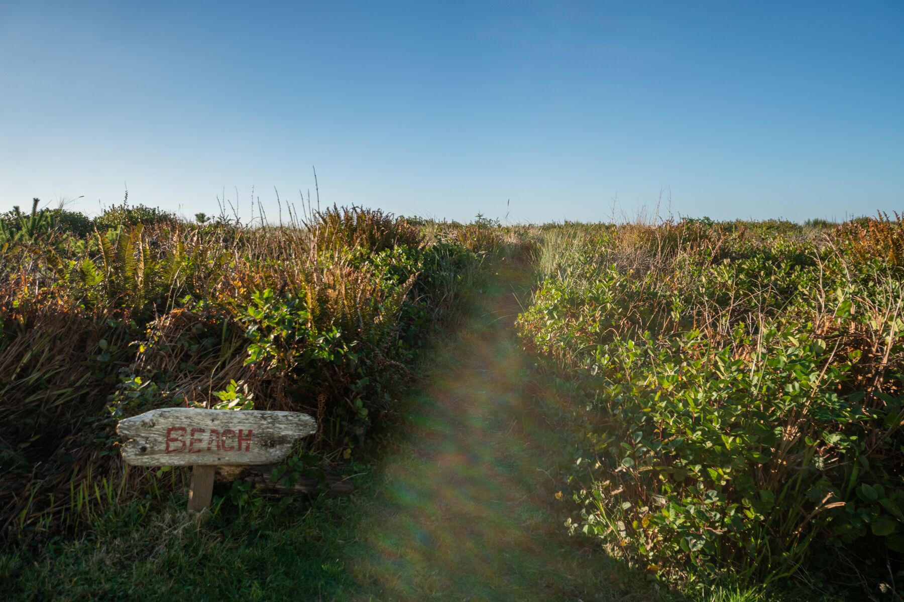 Un sentier étroit traverse une zone verdoyante et dense, et un panneau en bois indique la direction de la « plage ».