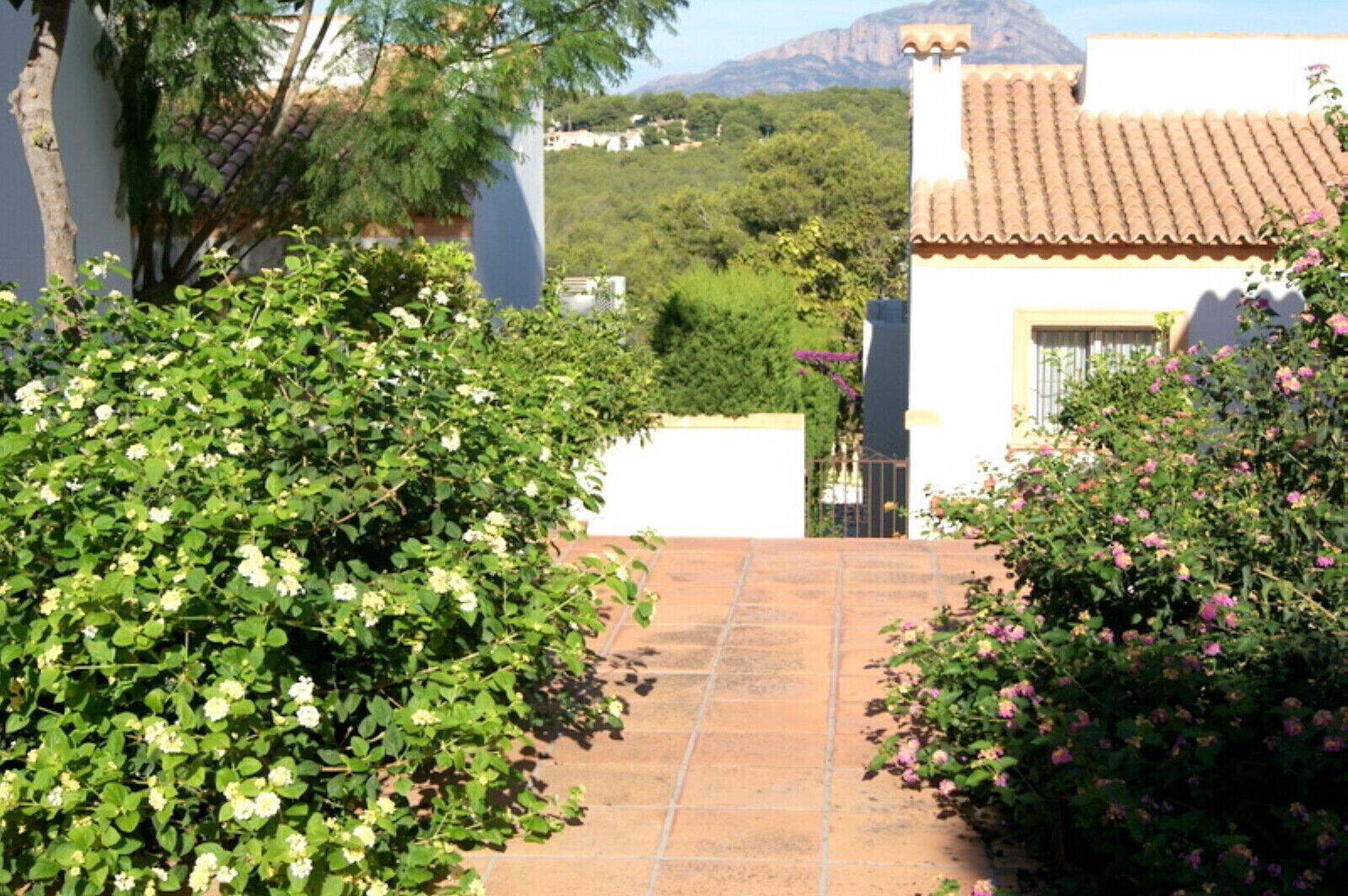 A pathway leading to a building with a tiled roof and white walls.