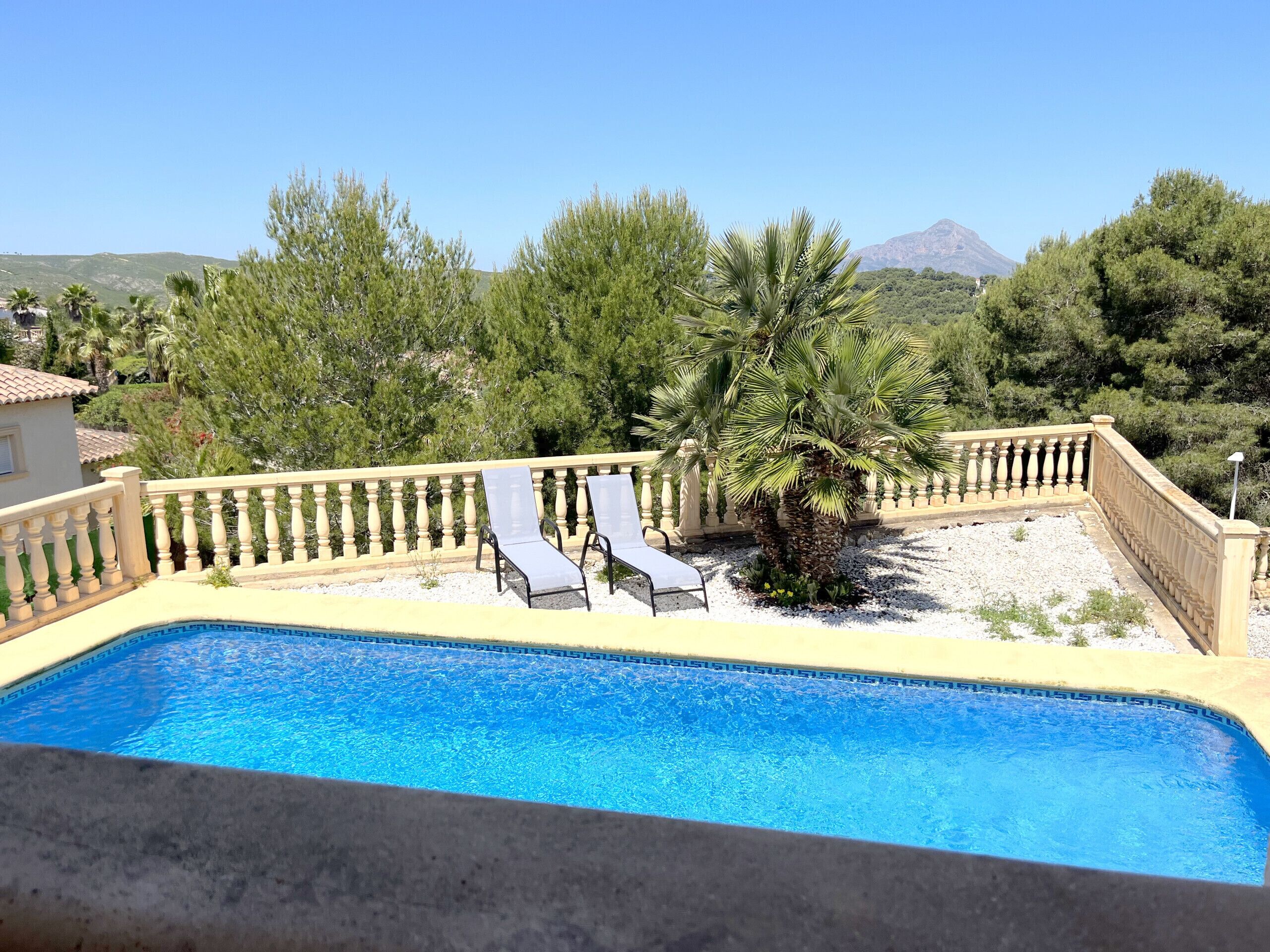 A swimming pool with two lounge chairs and a palm tree, surrounded by a fence and greenery.