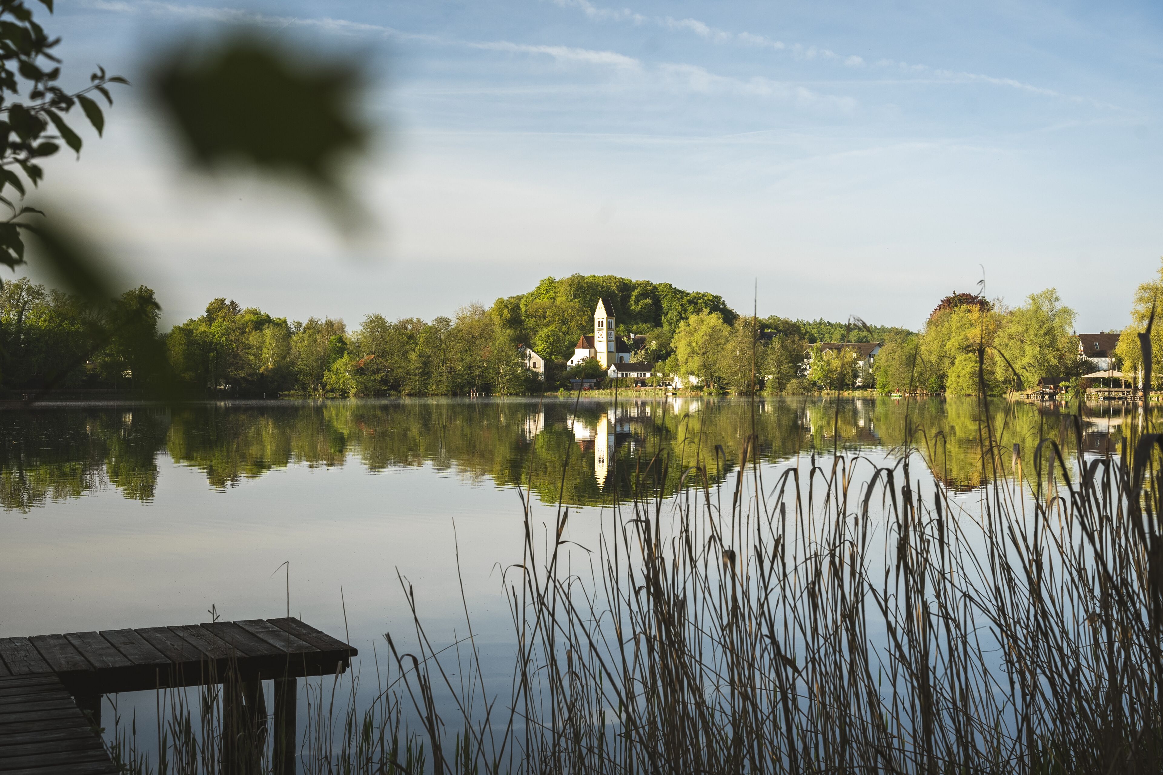 land view from property