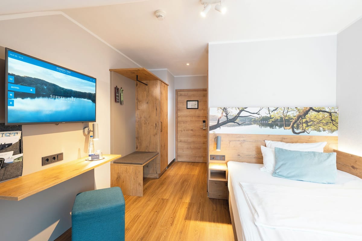 single room | 1 bedroom, in-room safe, desk, laptop workspace