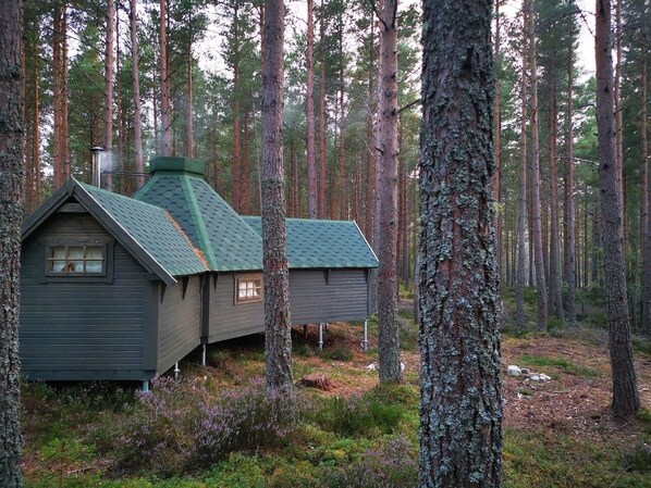 Eksteriør
