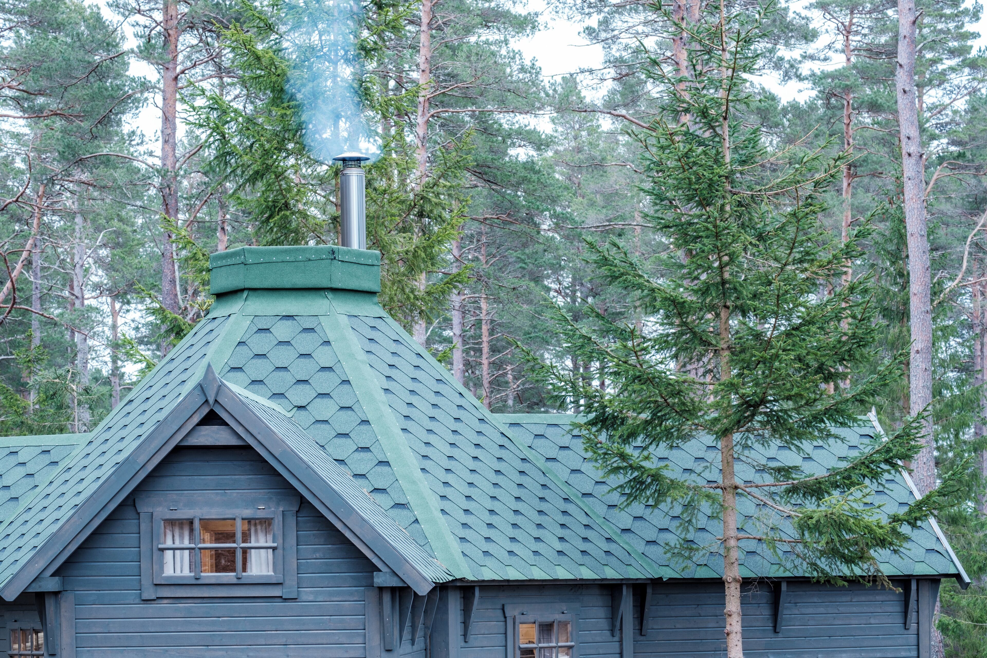 Une cabane surmontée d’un toit végétalisé, entourée de grands pins.