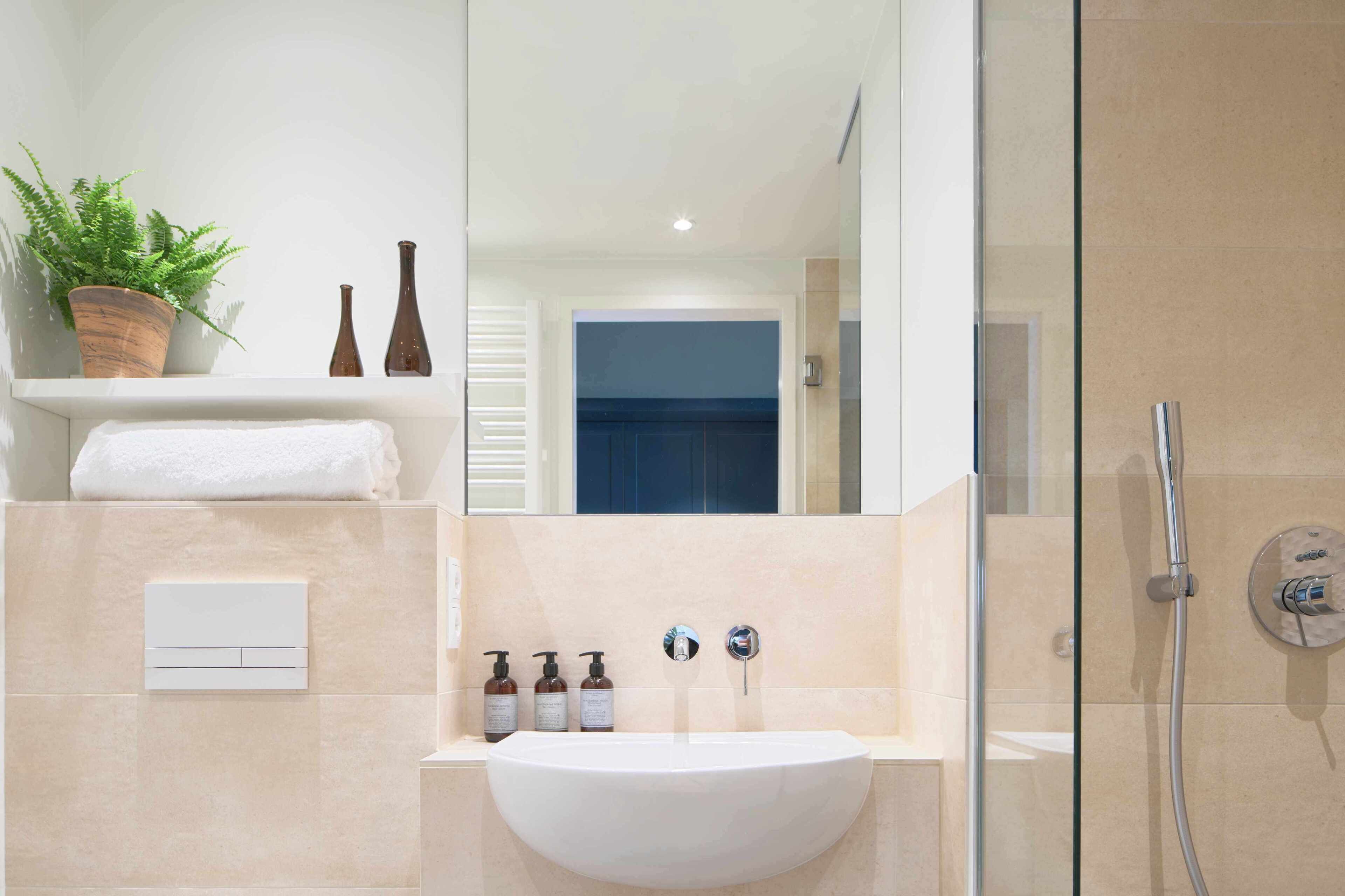 Ein modernes Badezimmer mit einem weißen Waschbecken, zwei Shampooflaschen, einem Topf mit Pflanze und einer Duschkabine aus Glas.
