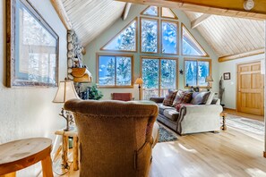 Televisión, chimenea y reproductor de DVD 