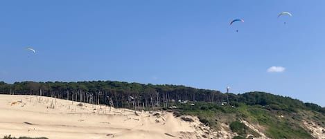 在海滩