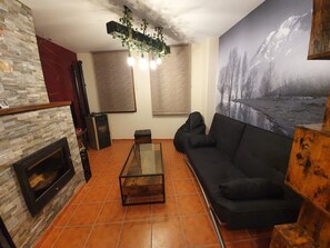 TV, fireplace, books