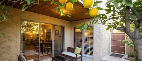 Un patio cubierto con mobiliario de mimbre, un ventanal de vidrio que da a un espacio interior y un limonero.