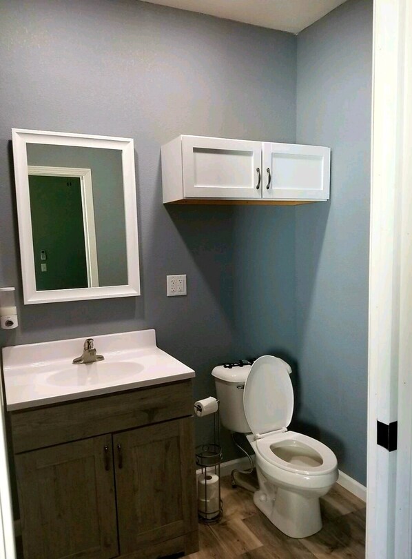 A bathroom with a sink, toilet, and cabinets. - Washington Suite Sleeps 4 (Medicine Lodge)