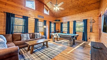 Fernseher, Kamin, DVD-Player, Videothek