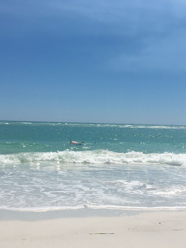 Aurinkotuoleja, rantapyyhkeitä