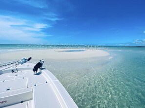 Beach - Luxurious Waterfront Retreat! Oversized Heated Pool and expansive outdoor area! (Naples)