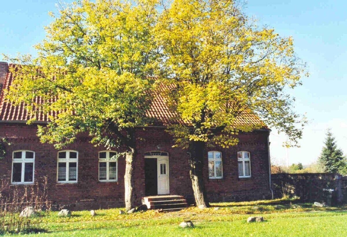 A brick house with a tiled roof, a front door, and a large tree in front.