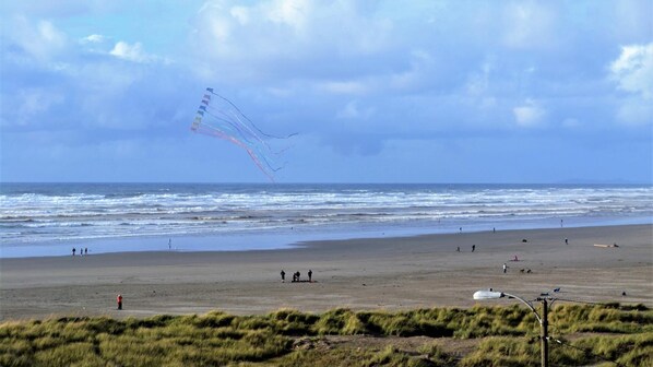 Apartment, Multiple Beds (ssbc #406) | Beach