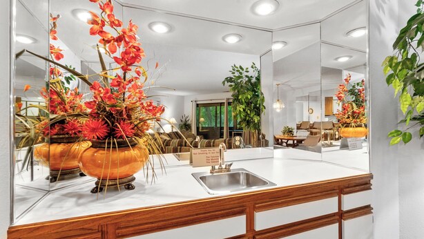 A modern bathroom with a large mirror, a sink, and decorative plants. - 2 Bed, 2 Bath with Screened Lake View Patio! (Branson)