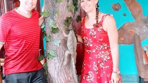 Una stanza con un'ampia scultura a forma di albero, una ventola a soffitto e un muro azzurro.
