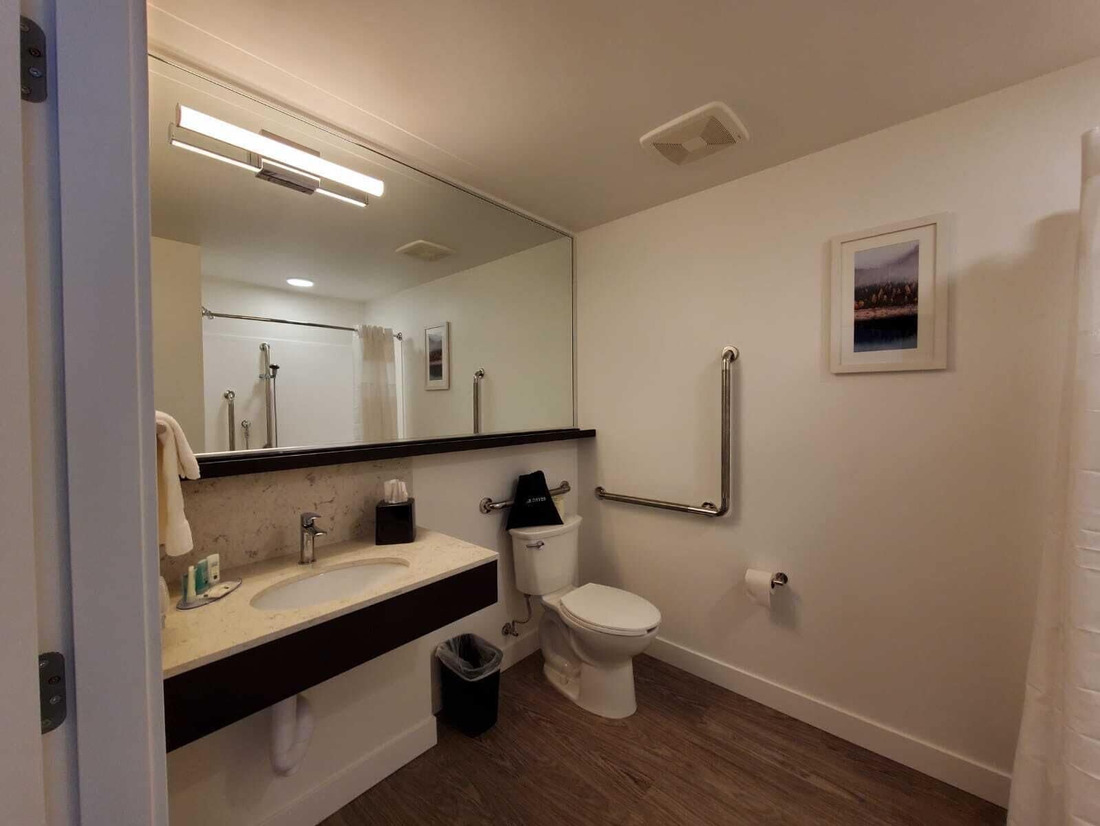 Quarto, 1 cama Queen, para não fumantes | Banheiro | Produtos de toalete grátis, secador de cabelo