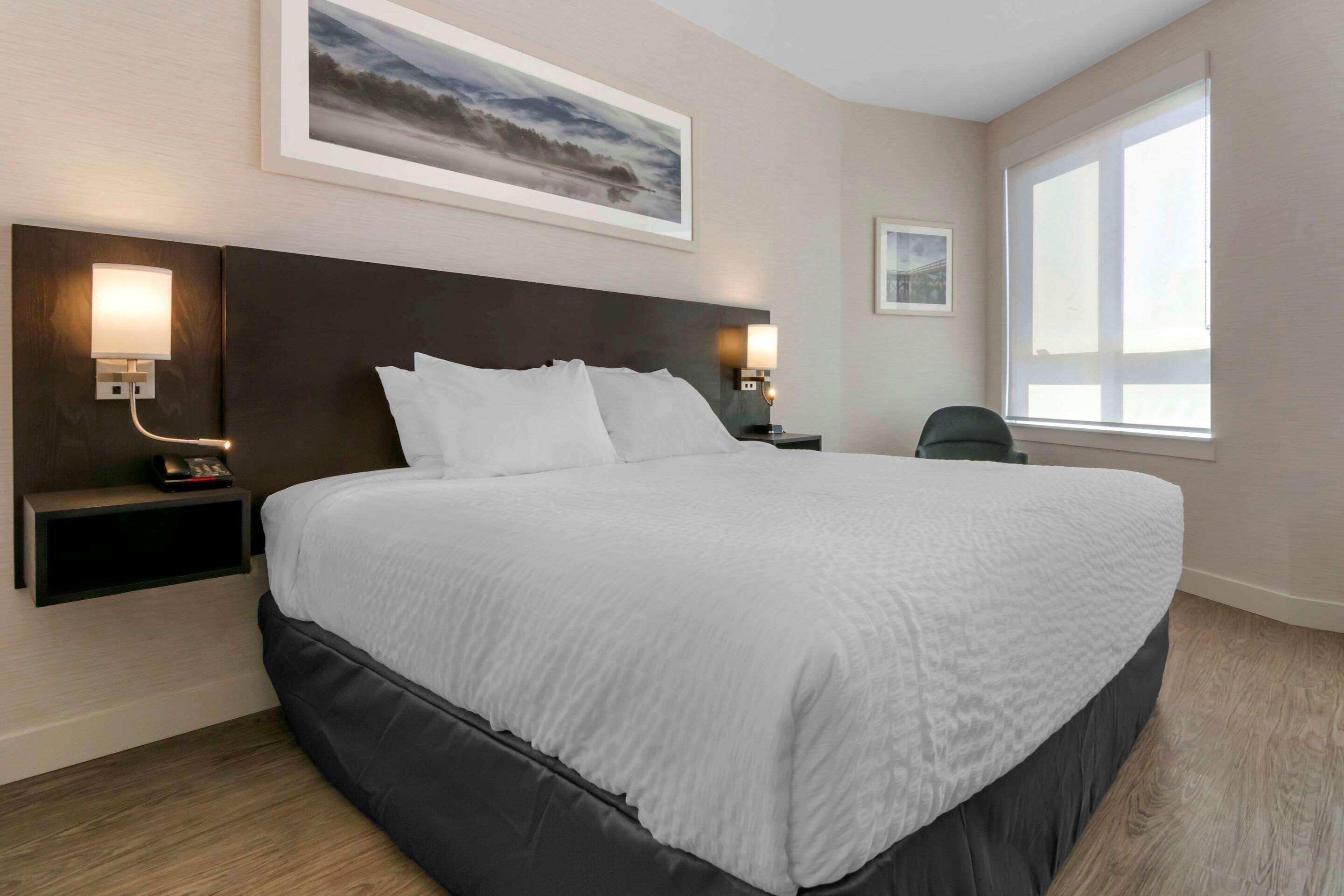 standard room, 1 king bed, non smoking | premium bedding, down duvets, pillow-top beds, individually decorated