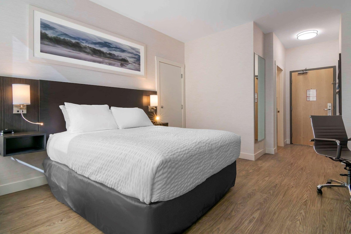 A modern hotel room with a large bed, bedside lamps, a wooden floor, and a framed picture on the wall.