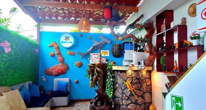 Suite Galarous Island confortable