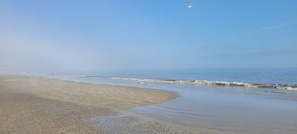 Beach nearby - Condo Near Coligny Circle, Beach, & New Park; all within 1 to 2 Blocks (Hilton Head Island)