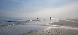 Enjoy leisurely walks and bike rides along the wide beach with gentle waves.