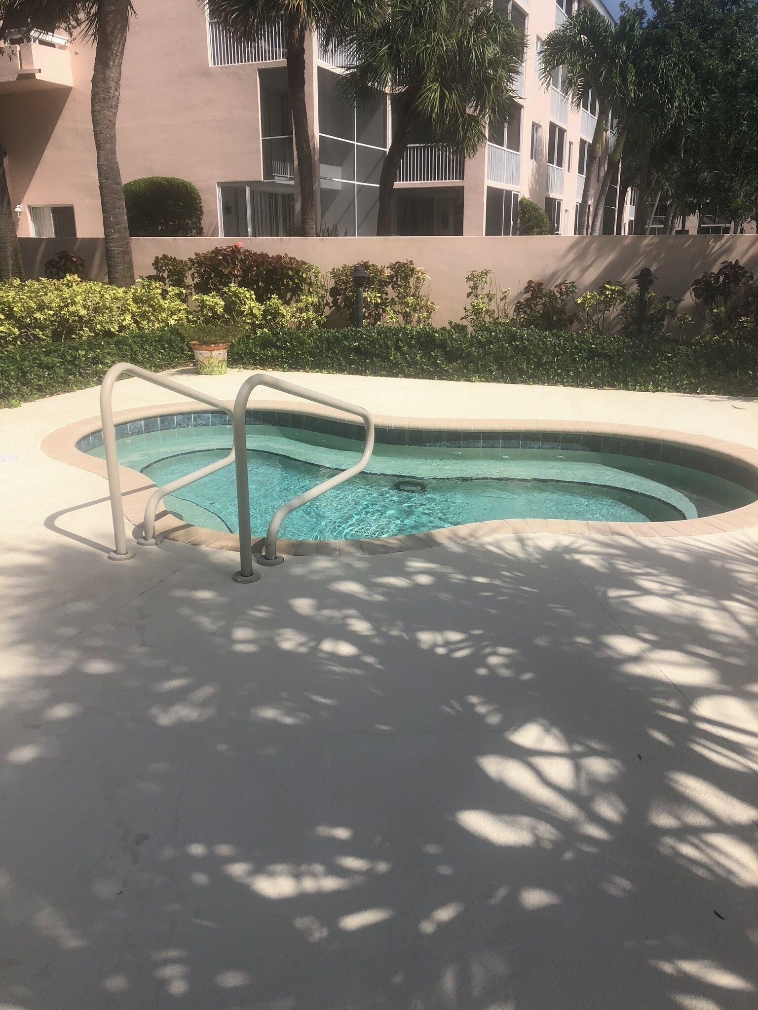 A swimming pool with a metal ladder, surrounded by a concrete deck and palm trees.