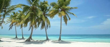 Vlak bij het strand