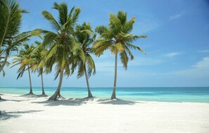 Une plage de sable blanc, bordée de palmiers, sous un ciel bleu azur.
