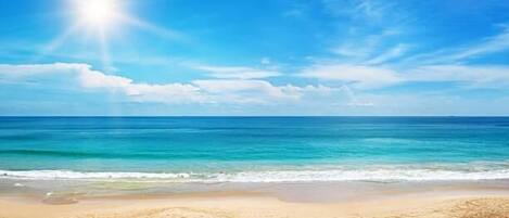 بالقرب من الشاطئ