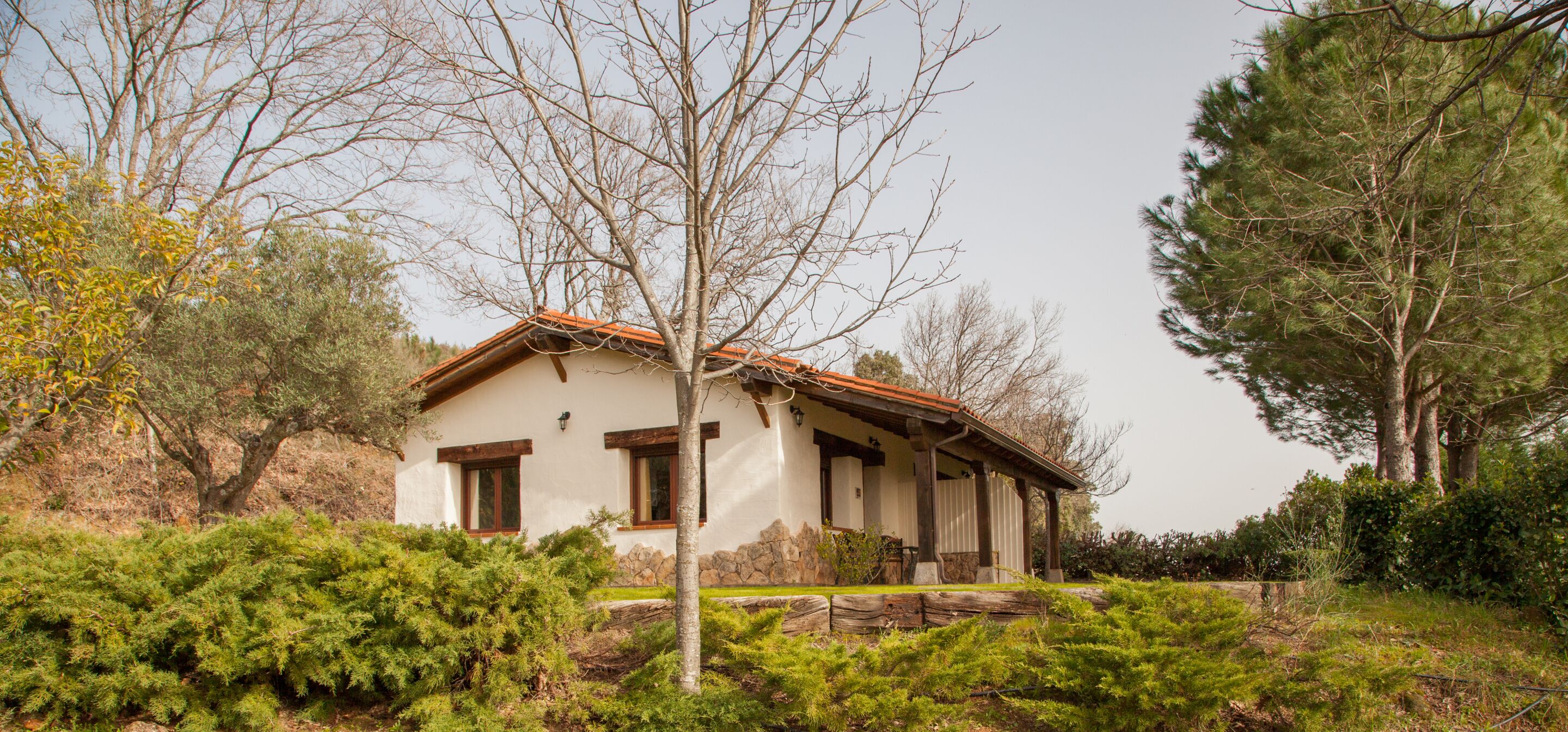 The Casitas